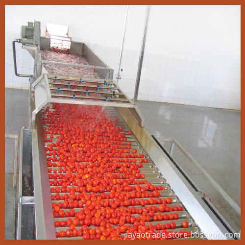 tomato paste canned